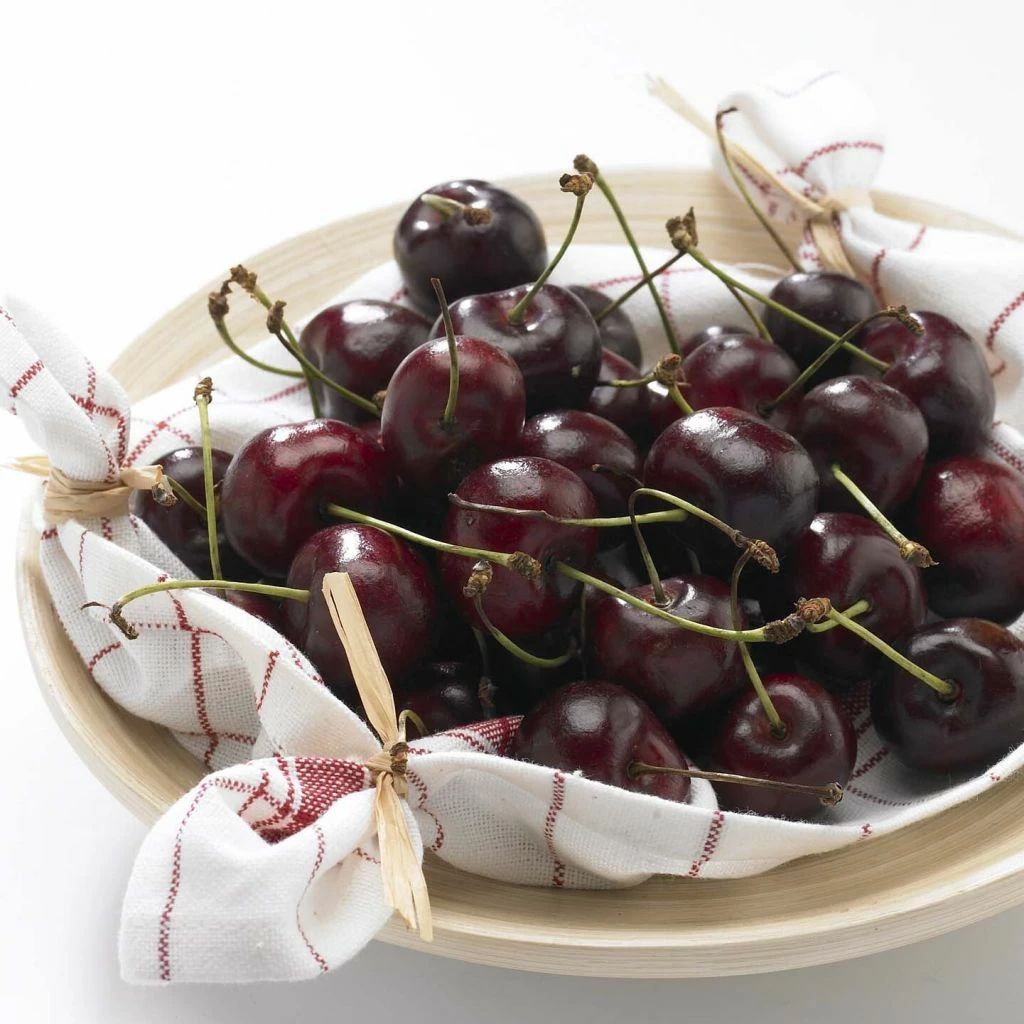 Cerisier Bigarreau Délice De Malicorne - Georges Delbard 3 Cerisier Bigarreau Délice De Malicorne - Georges Delbard