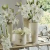 Collection Bulbes Pour Bouquets Modernes Blancs -Promesse Fleurs Boutique Collection bulbes pour bouquets modernes blancs 18974 1