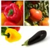 Collection "Ratatouille" De 5 Plants Potagers GREFFES 1 Collection "Ratatouille" De 5 Plants Potagers GREFFES -Promesse Fleurs Boutique Collection de 5 plants potagers greff s 4248 1