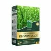 Gazon Premium Regarnissage - Semences Enrobées - BHS -Promesse Fleurs Boutique Gazon premium regarnissage Semences enrobees IF 17053 1