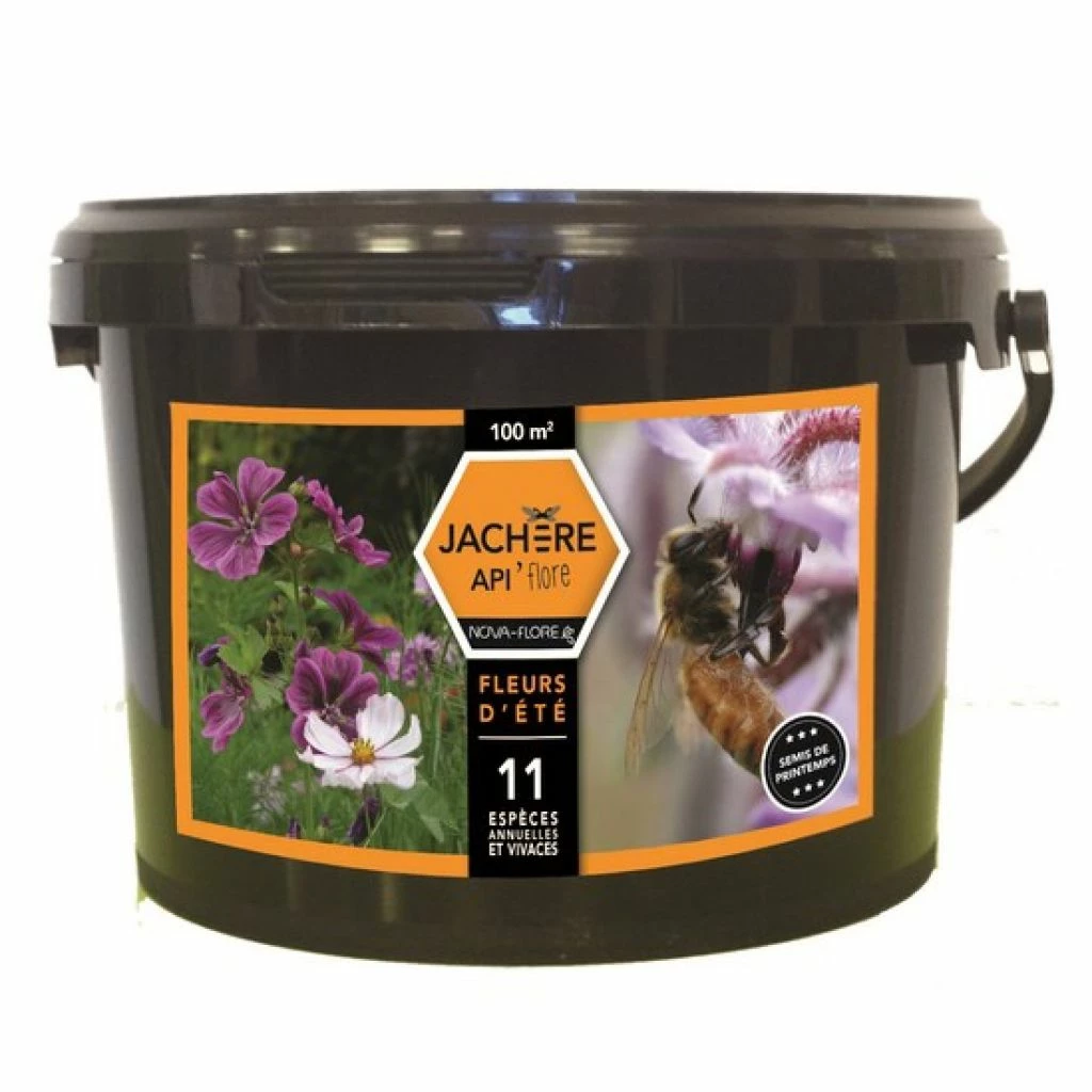 Jachère Mellifère Fleurs D'été 3 Jachère Mellifère Fleurs D'été