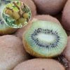 Kiwi Hayward (femelle) Bio 1 Kiwi Hayward (femelle) Bio -Promesse Fleurs Boutique Kiwi Hayward femelle Bio 781299 1