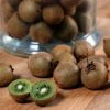 Kiwi Jenny (autofertile) - Actinidia Deliciosa -Promesse Fleurs Boutique Kiwi Jenny autofertile 78130 1