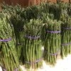 Asperge Verte Rambo - Asparagus Officinalis 1 Asperge Verte Rambo - Asparagus Officinalis -Promesse Fleurs Boutique asparagus officinalis rambo 16300 1