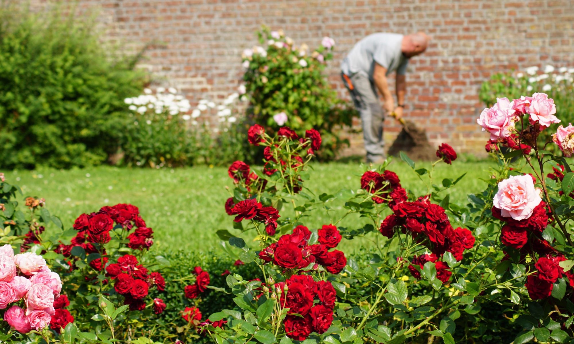 Promesse Fleurs Boutique -Promesse Fleurs Boutique DSC00149 2000x1200 1